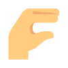 lizard